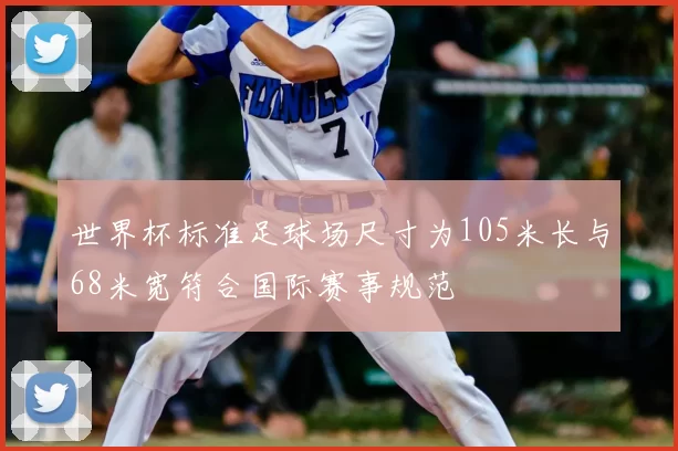 世界杯标准足球场尺寸为105米长与68米宽符合国际赛事规范