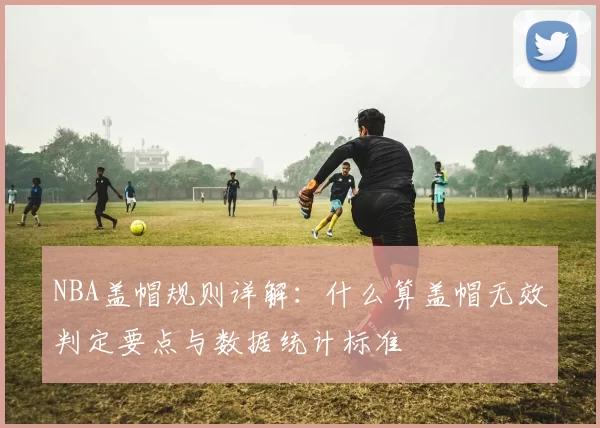 NBA盖帽规则详解：什么算盖帽无效判定要点与数据统计标准