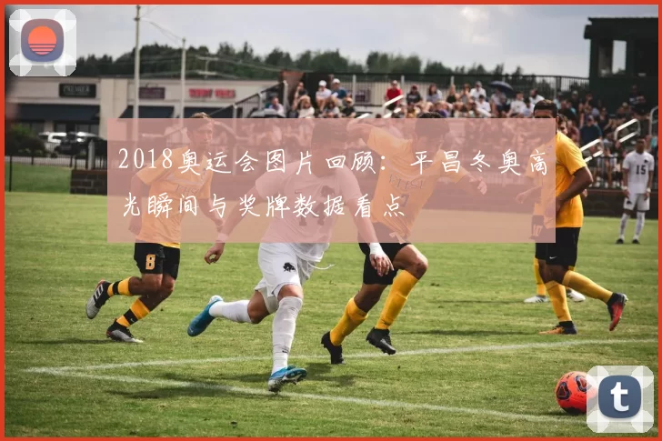 2018奥运会图片回顾：平昌冬奥高光瞬间与奖牌数据看点
