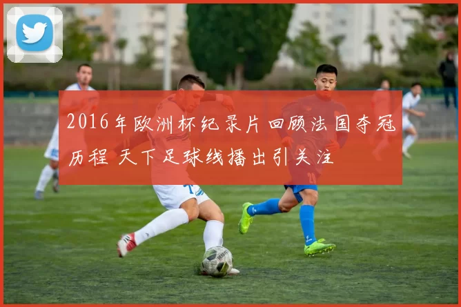 2016年欧洲杯纪录片回顾法国夺冠历程 天下足球线播出引关注