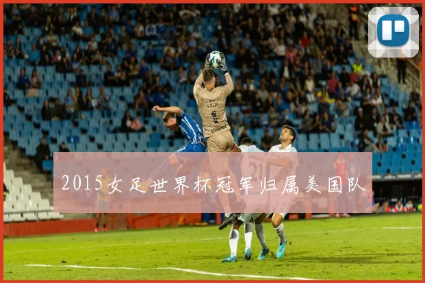 2015女足世界杯冠军归属美国队