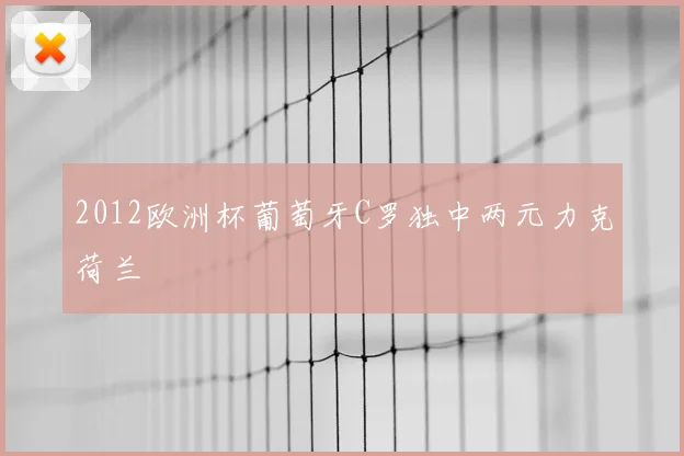 2012欧洲杯葡萄牙C罗独中两元力克荷兰
